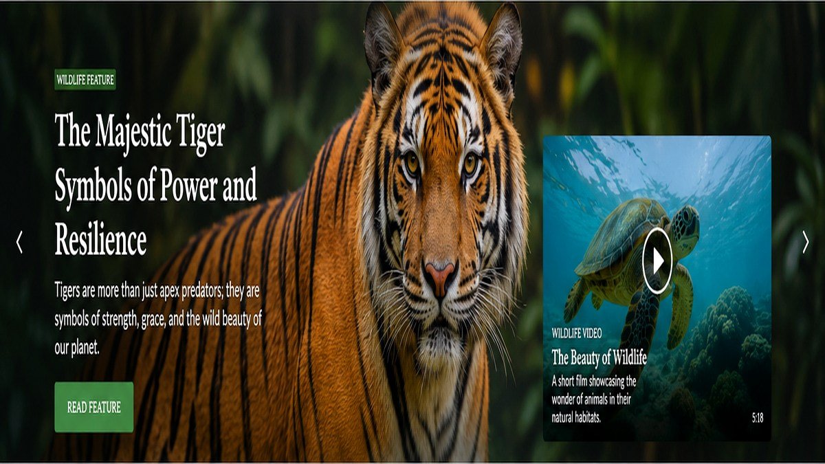Tiger in a forest